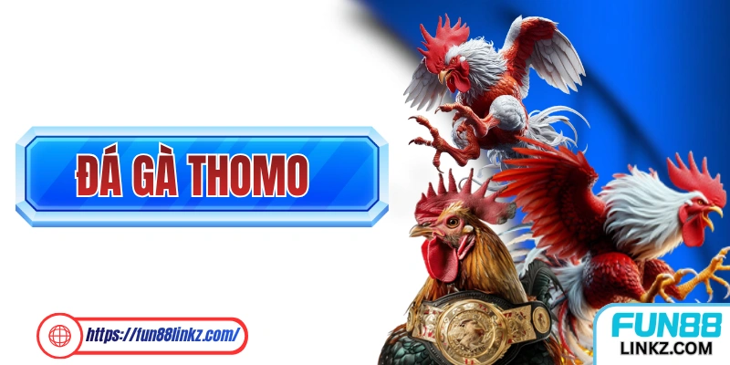 Đá Gà Thomo Chuyên Nghiệp Và Bài Bản Hàng Đầu Đông Nam Á